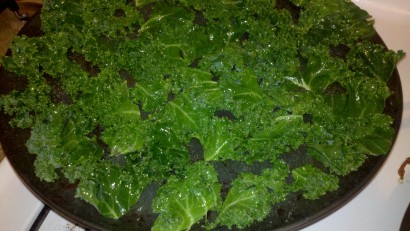 Simple Kale Chips