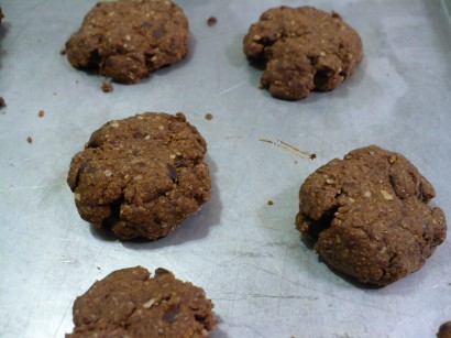 Chocolate Oat Breakfast Cookies