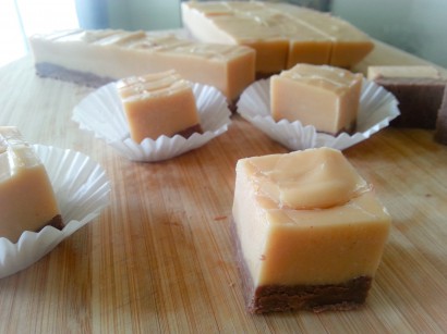 Peanut Butter and Chocolate Fudge