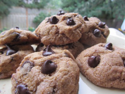 Gluten-Free Easy Pumpkin Chocolate Chip Cookies