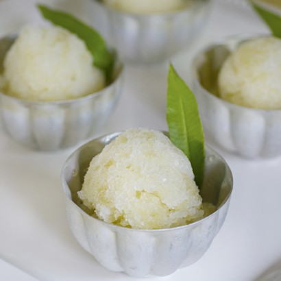 Lemon Verbena Granita